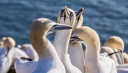 AG体育官方网站-24小时之后又将再度交锋 热火能否完成复仇？